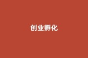 民办高校创业扶持：从“双导师制”到亿元级创业项目孵化